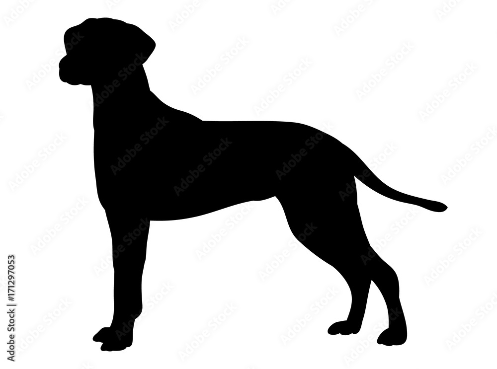 vector, isolated one silhouette of a dog