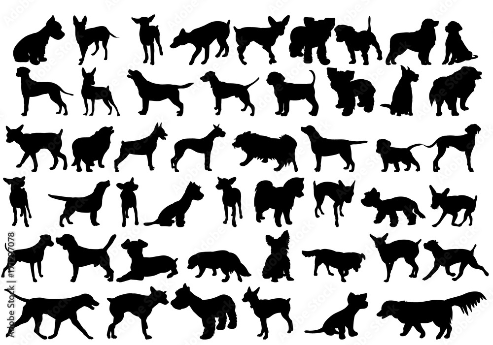 vector, isolated  silhouette of a dog collection