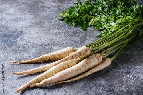 Fotografía Bundle of fresh organic parsnip with haulm over gray texture background