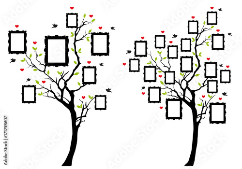 family tree with photo frames, vector