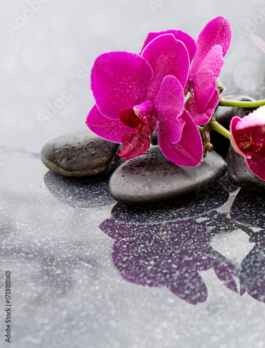 Spa background with orchid and stone.
