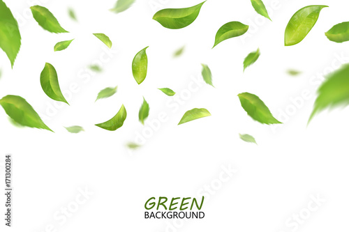 Blurred fresh flying green leaves, quality 3d imitation. Vector