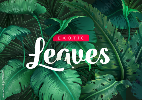 Bright tropical background with jungle plants. Exotic pattern with tropical leaves
