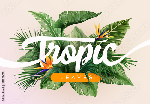 Bright tropical background with jungle plants. Exotic pattern with tropical leaves
