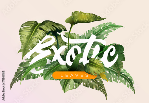 Bright tropical background with jungle plants. Exotic pattern with tropical leaves