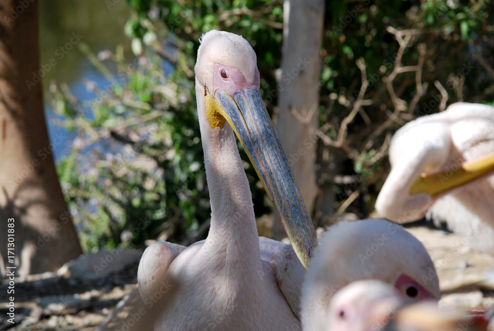 Obraz premium DSC_8449