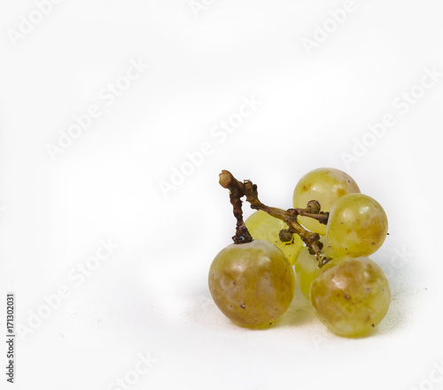 grape ripe yellow isolated zitsa Ioannina Greece