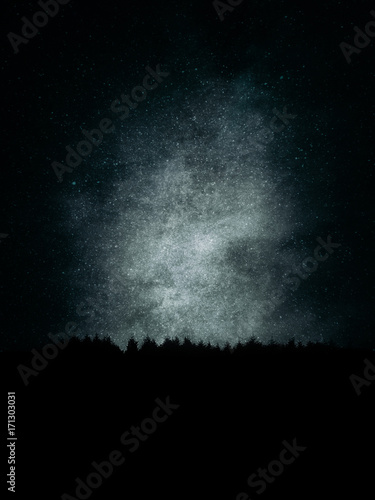 forest in the mountain at night with grungy textures