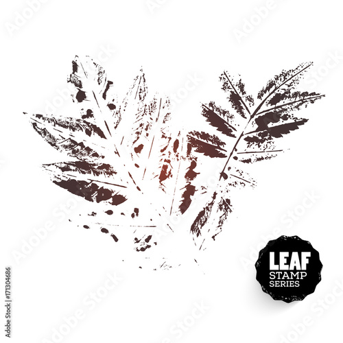 Vector design template. Ink splashes element. Rowan leaf print. Hand made Ink stamp of a leaf. Seasons changing.