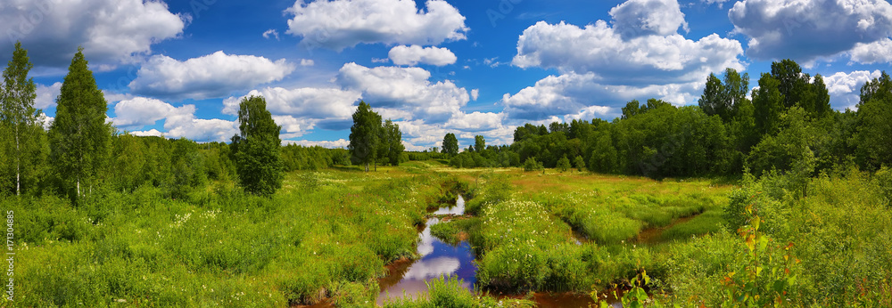 Summer wide angle view of small river - obrazy, fototapety, plakaty 