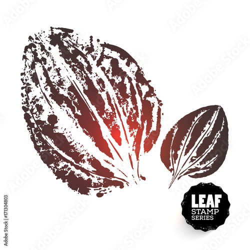 Vector design template. Ink splashes element. Plantainleaf print. Hand made Ink stamp of a leaf. Seasons changing. photo