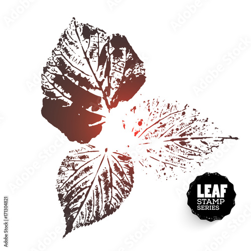 Vector design template. Ink splashes element from nature series. Leaf print. Hand made Ink stamp of a leaf. Seasons changing. Three variants of print