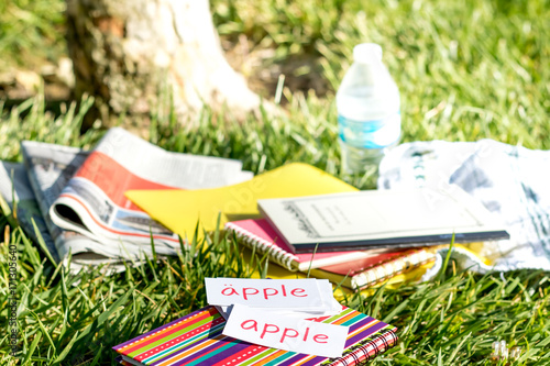 Swedish and English; Learning New Language with Handwritten Flash Cards. Translation; Apple