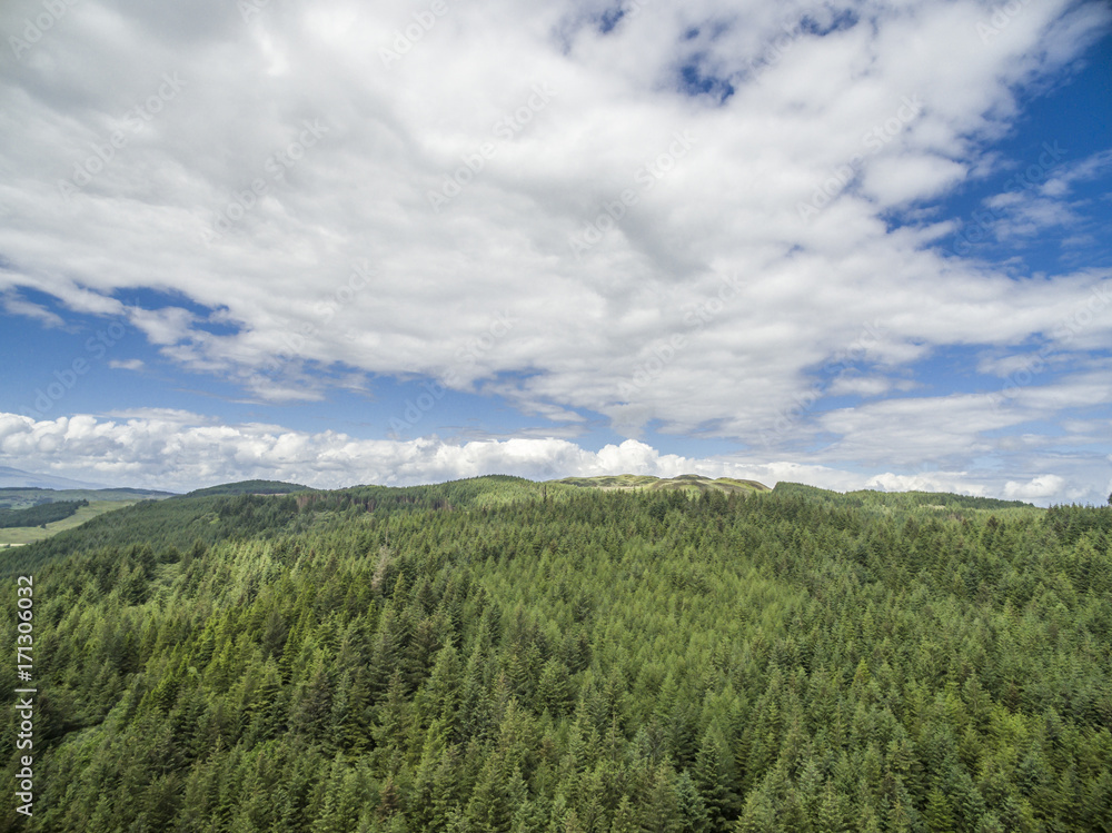 Aerial of a forest in Argyll Aerial of a forest in Argyll