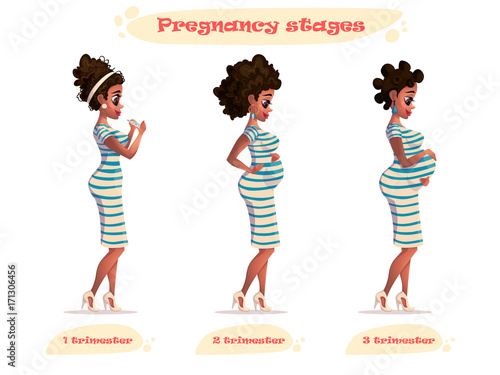stages of pregnancy vector illustration pregnant woman. african-american pregnant woman. Changes in a woman's body in pregnancy. Pregnancy stages, trimesters and pregnant woman.Cartoon character
