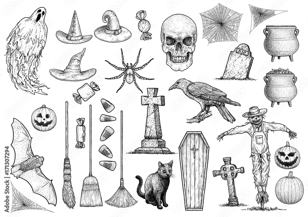 Fototapeta premium Halloween collection illustration, drawing, engraving, ink, line art, vector