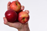 Male hand holds red apples, copy space. Apples on white