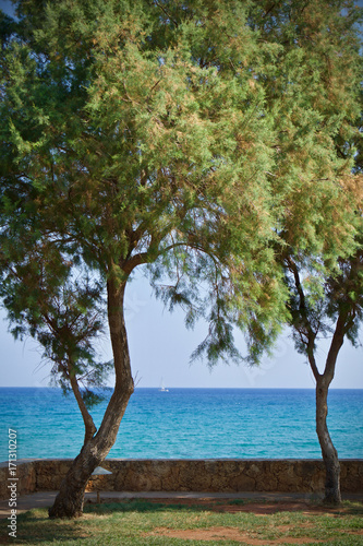 the view sea of Malia, Crete, Greece