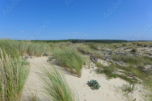 Strand bei Montalivet Frankreich 