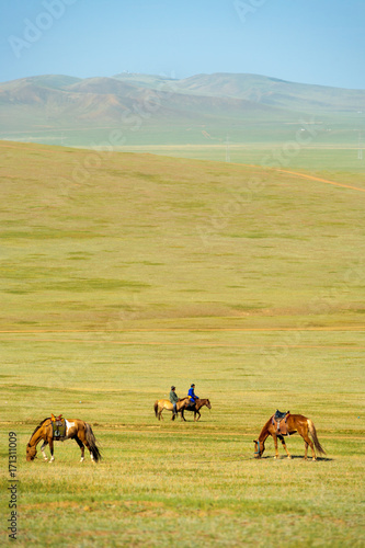 Horses Grazing Grass Mongolian Steppe