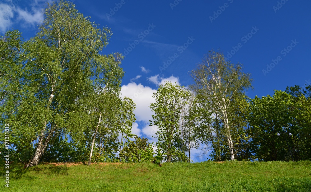 Fototapeta premium territory of Eco Shore Park in Khimki, Russia