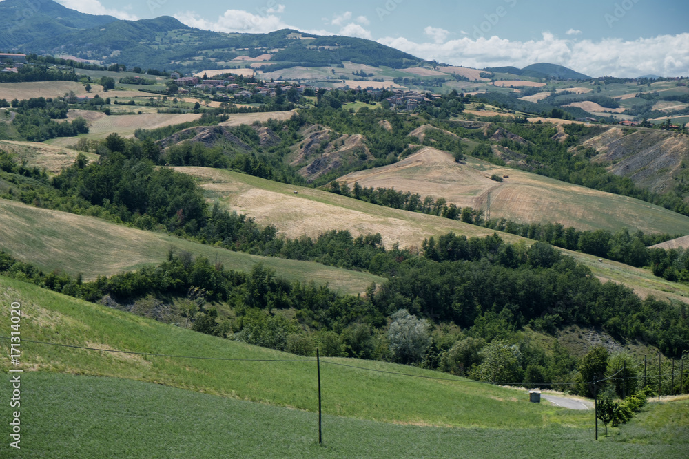 Rivalta di Lesignano (Parma, Italy): summer landscape