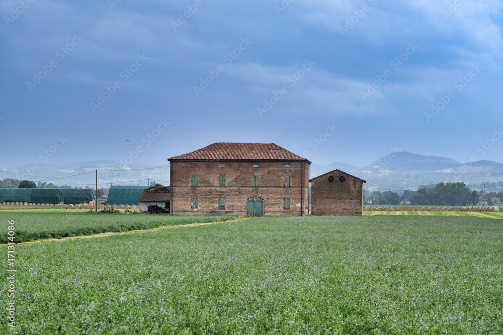 Obraz premium Rural landscape near Fidenza (Parma)