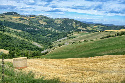 Summer landscape near Serramazzoni (Modena, Italy) photo