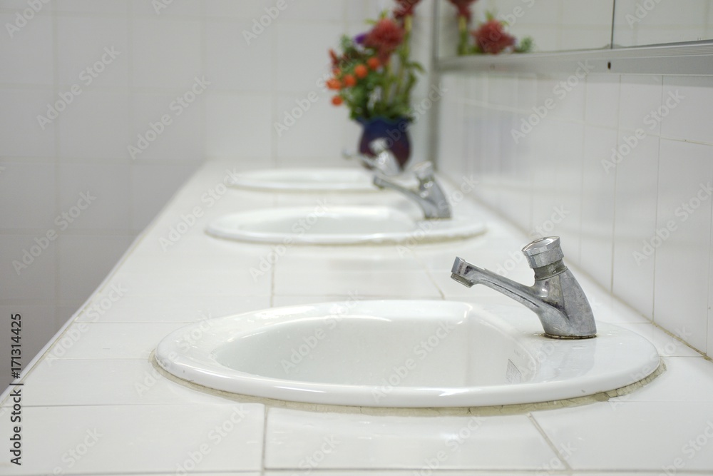 Fototapeta premium Clean white wash basin in bathroom and ornamental flowers.