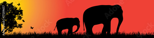 Vector silhouette of elephant in nature at sunset.