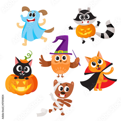 Set of cute funny animal characters dressed in Halloween costumes, cartoon vector illustration isolated on white background. Set of animal characters dressed as ghost, witch, mummy celebrate Halloween