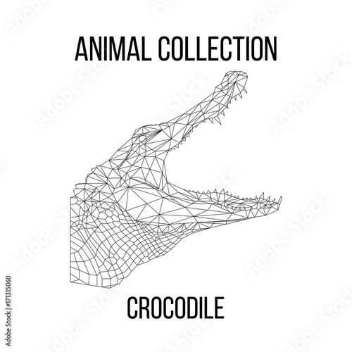 Crocodile head geometric lines silhouette isolated on white background vintage vector design element illustration