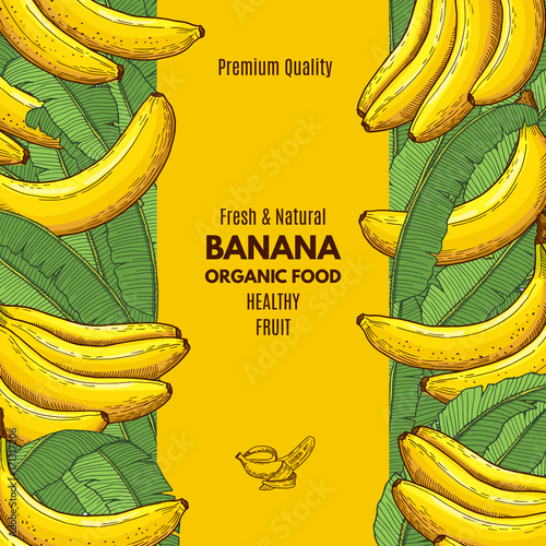 Retro poster with illustration of banana and place for your text