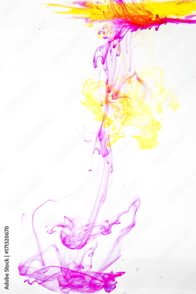 Fototapeta premium colores vivos