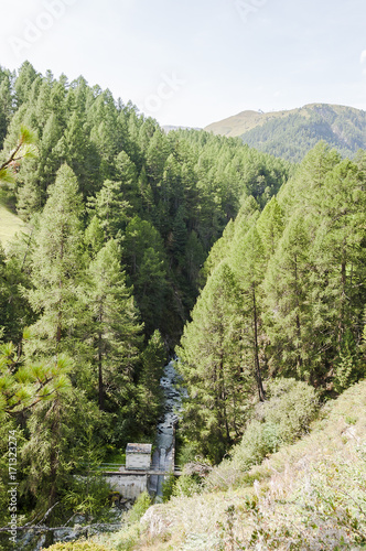 Zermatt, Dorf, Bergdorf, Zmutt, Furi, Zmuttbach, Gornera, Bergbach, Walliser Dorf, Wanderweg, Wallis, Alpen, Schweizer Berge, Lärchenwald, Sommer, Schweiz photo