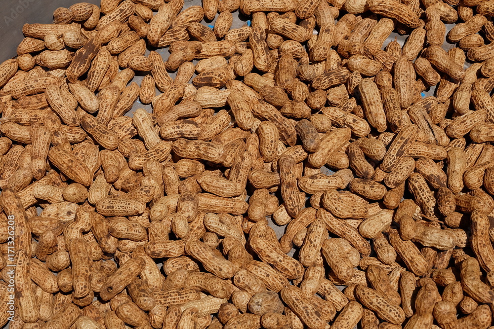 peanut peanut