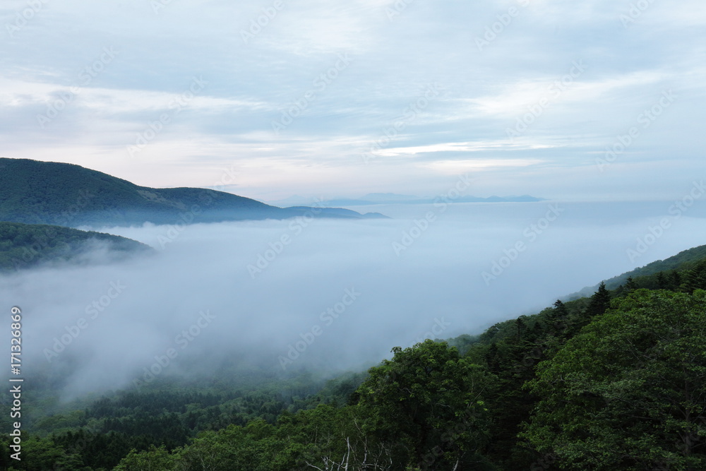 雲海