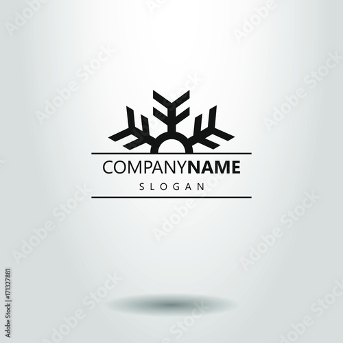 black and white abstract snowflake logo