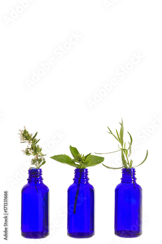 Blue Bottle of essential oil with herbs and flowers set up on white background .