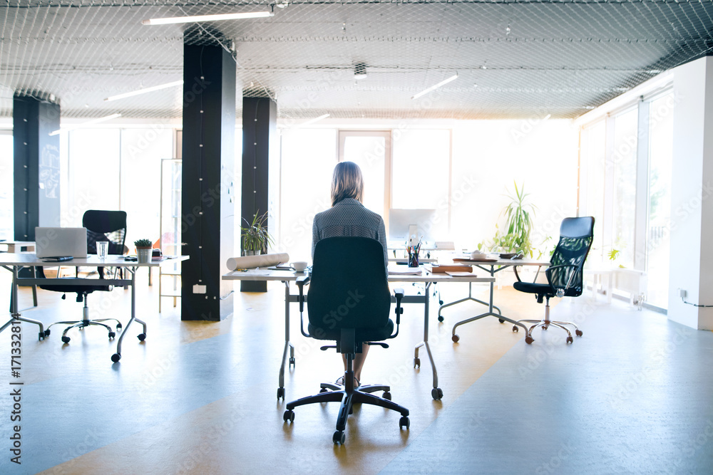 Fototapeta premium Businesswoman in her office working. Rear view.