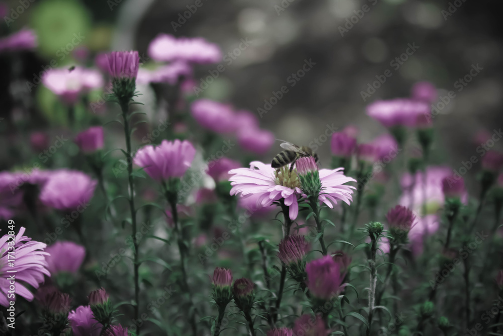 Obraz premium Little world