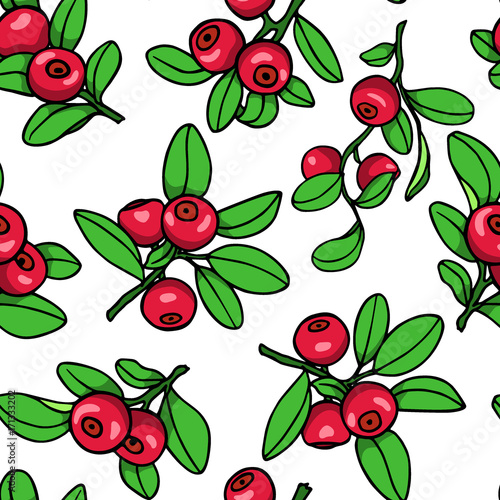Hand drawn cranberry pattern