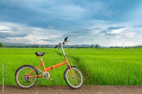 Bicycle with green rice field.