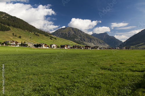 Mountain meadow with houses in background