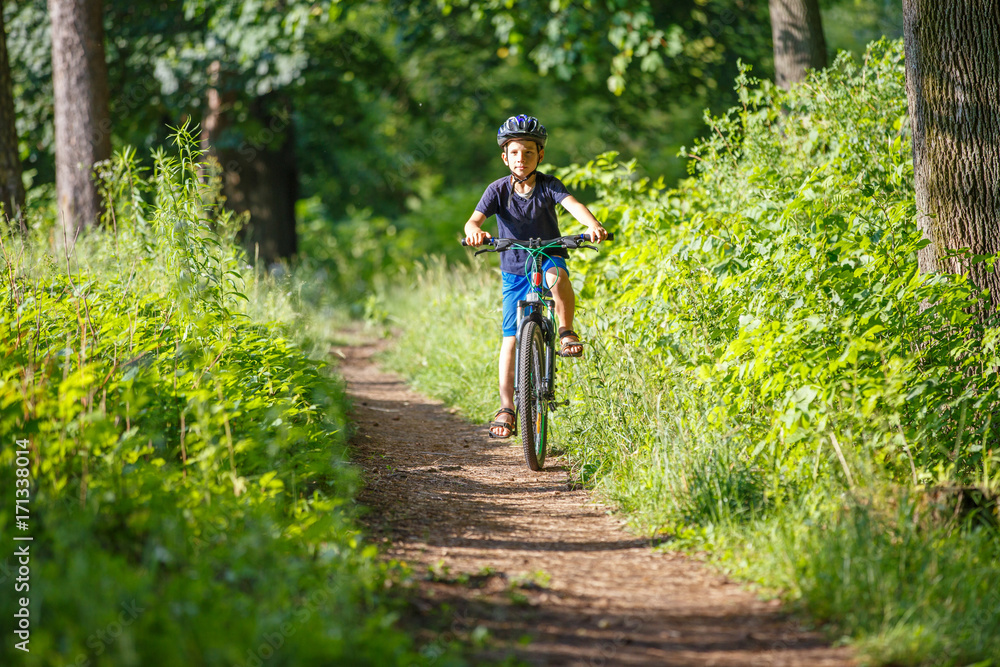 Small boy in protective helmet riding bicycle in park on summer day Small boy in protective helmet riding bicycle in park on summer day