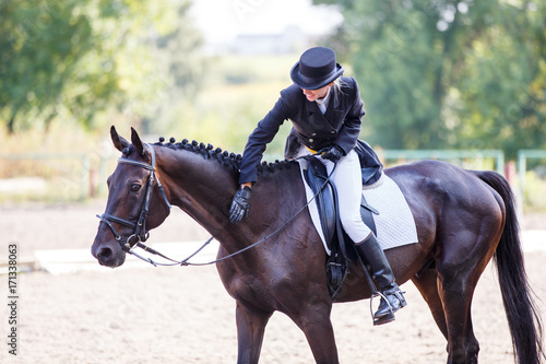 Young elegant rider woman patting her bay horse after dressage test on equestrian competition