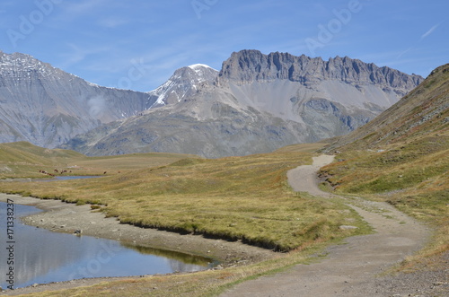 Lac de montagne de Bellecombe  dit aussi Plan du lac  dans le Parc National de la Vanoise  Alpes Fran  aises