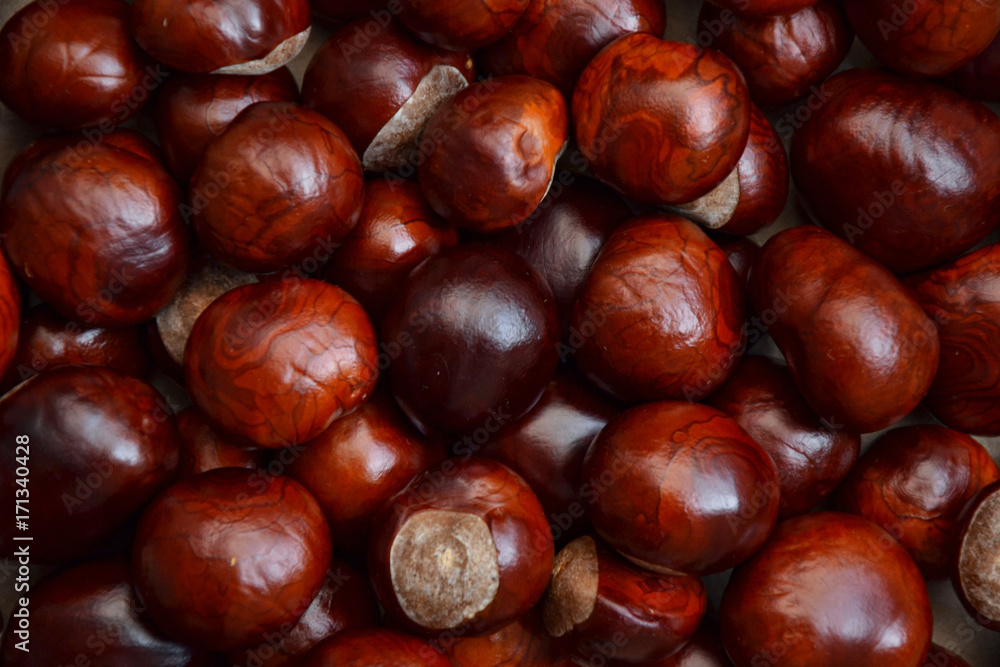 Chestnuts autumn background fall retro photo 5 Chestnuts autumn background fall retro photo 5