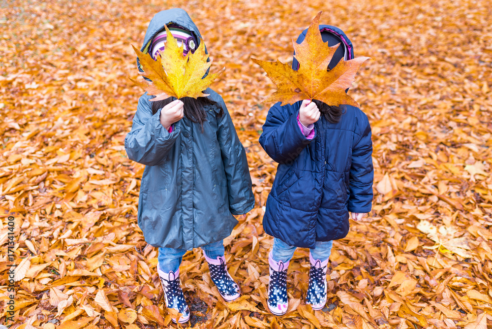 Little girls with a hidden face with a maple leaf in an autumn park ...