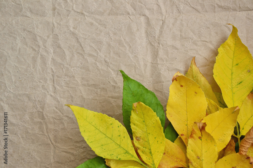 Obraz premium Autumn wallpaper yellow leaves fall vintage background 9
